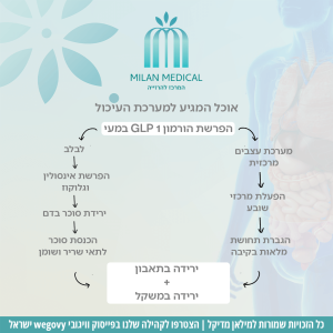 אוכל המגיע למערכת העיכול
